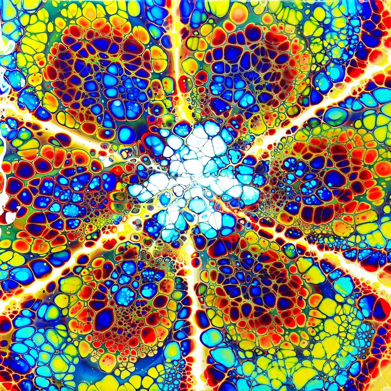 The Magic of Fractals: Exploring the Beauty of Maths